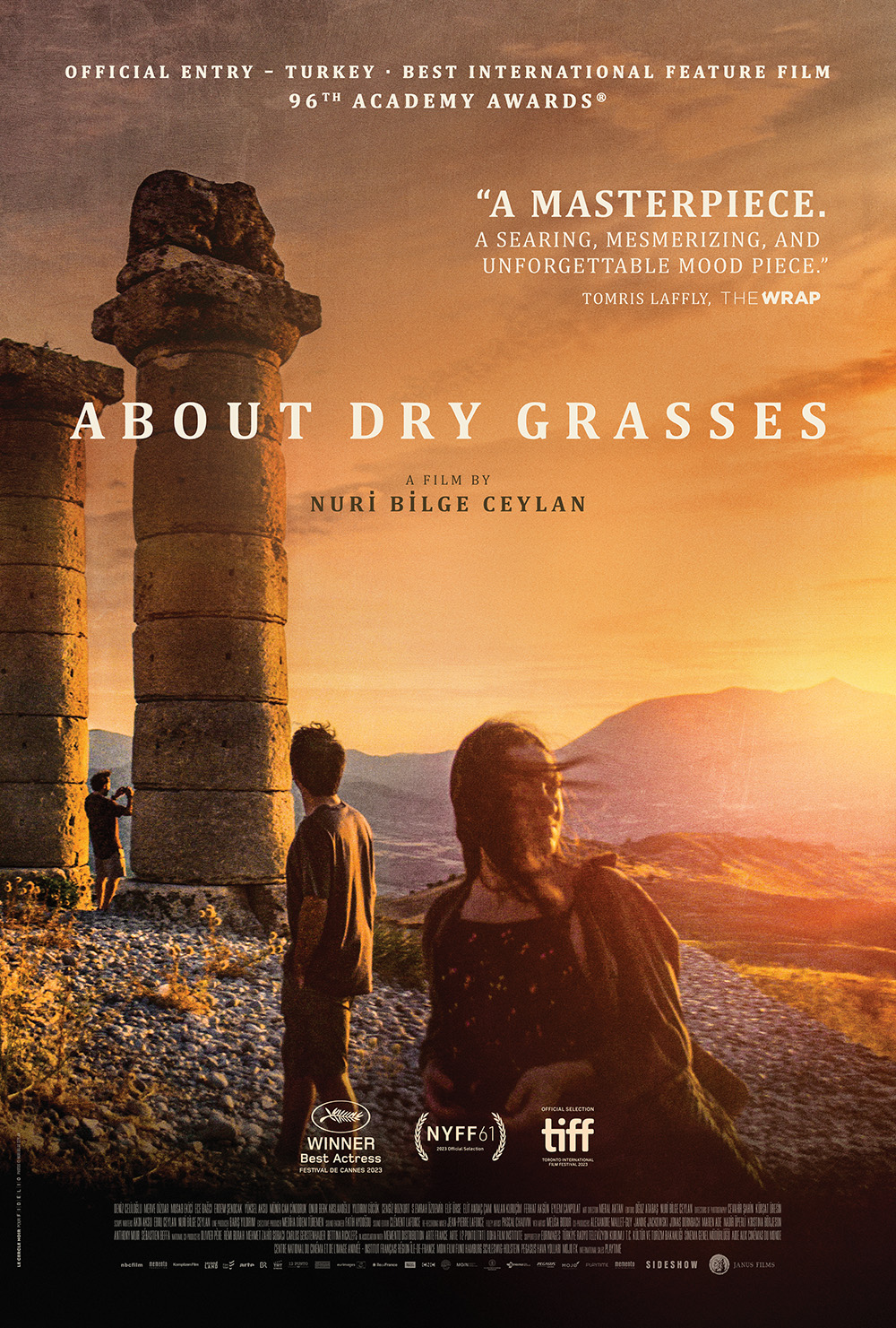 ABOUT DRY GRASSES